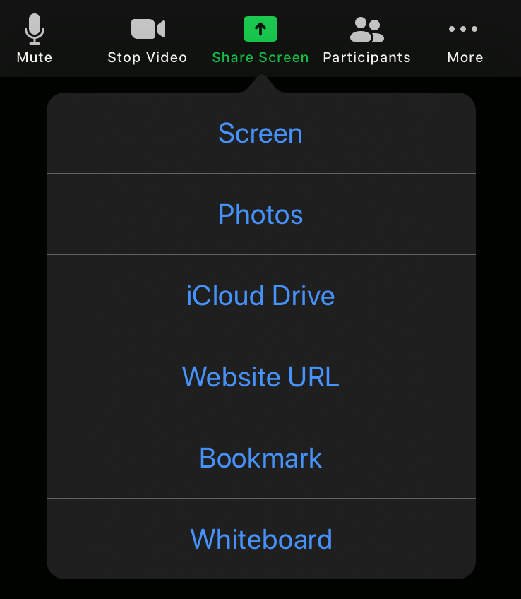 "Share Content" list on iPad
