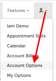 Arrow pointing from profile icon to "Account Options" 